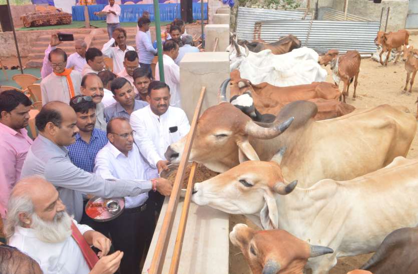 god happy seva off cow गोमाता की सेवा से प्रसन्न होते देवता