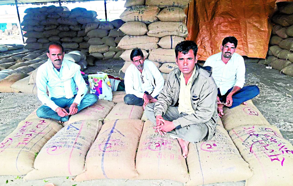 Opposition to e-permit इ-अनुज्ञा के विरोध के चलते किसानों की फजीहत, चार दिनों से अनाज लेकर मंडी में बैठे हैं किसान