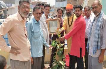 Tree Plantation remembering freedom fighter in Mahoba स्वतंत्रता सेनानी की स्मृति में अनशनकारियों ने लगाएं पौधे