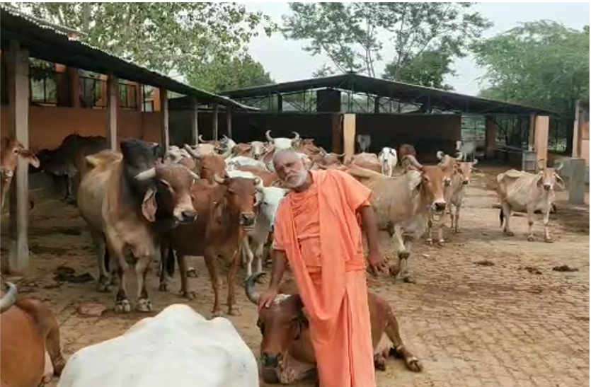 Goshala -demo pic MP सरकार हाईटैक गौशाला बनाने की तरफ आगे बढ़ी