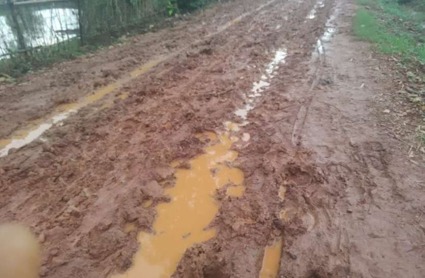 balaghat बारिश से दलदल में तब्दील हुई सड़क