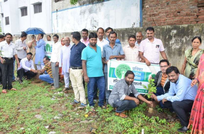 people of satna city planted the plantation in Harit Pradesh campaign हरित प्रदेश अभियान: कन्या धवारी स्कूल में हुआ पौधरोपण, शहरवासियों ने लिया पौधे लगाने का संकल्प