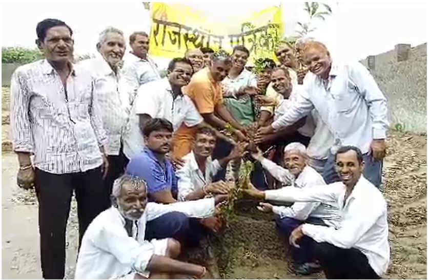 Hariyo Rajasthan campaign launched in bhilwara फुहारों के बीच में जिले भर में रोपे पौधे