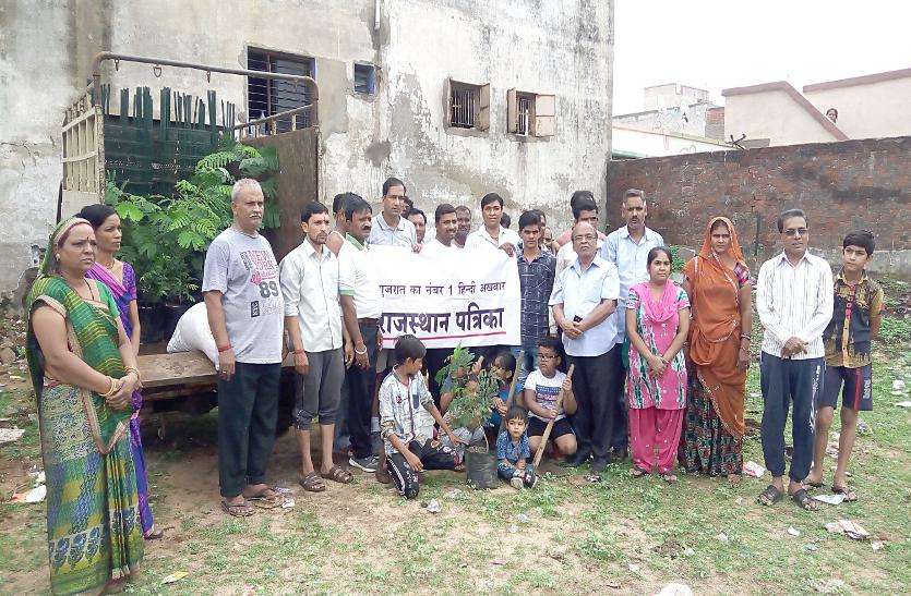 tree plantation Save environment: पौधारोपण कर दिया पर्यावरण बचाने का संदेश