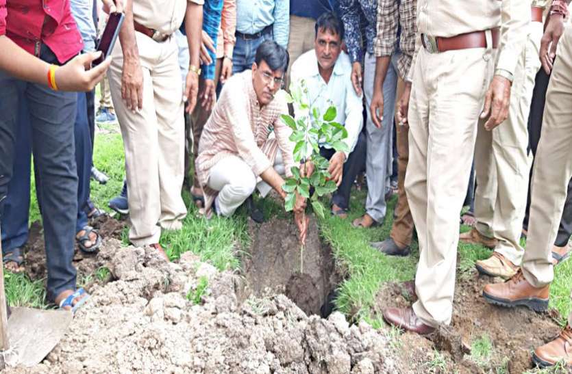 Bhavnagar : plantation भावनगर : केन्द्रीय मंत्री मांडविया ने किया पौधारोपण