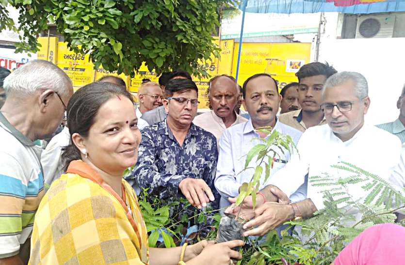 tree plantation Ahmedabad news: नि:शुल्क पौधों का वितरण
