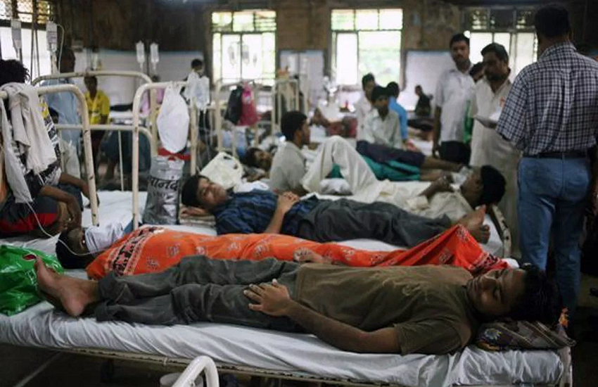 Japanese Encephalitis in Assam