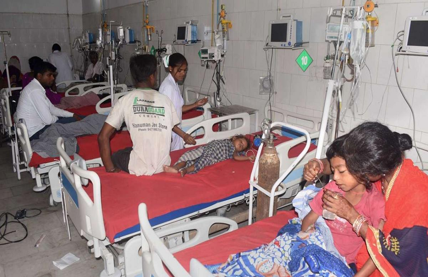 Japanese Encephalitis in Assam