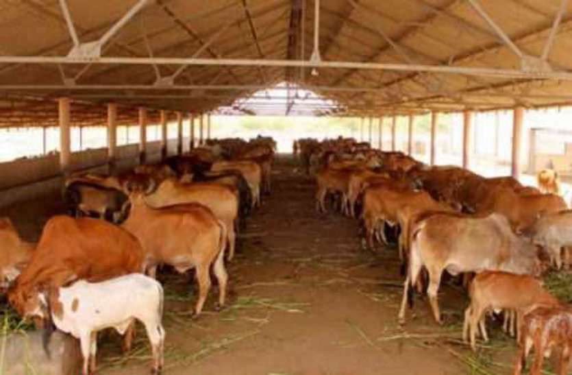 gau abhyaran