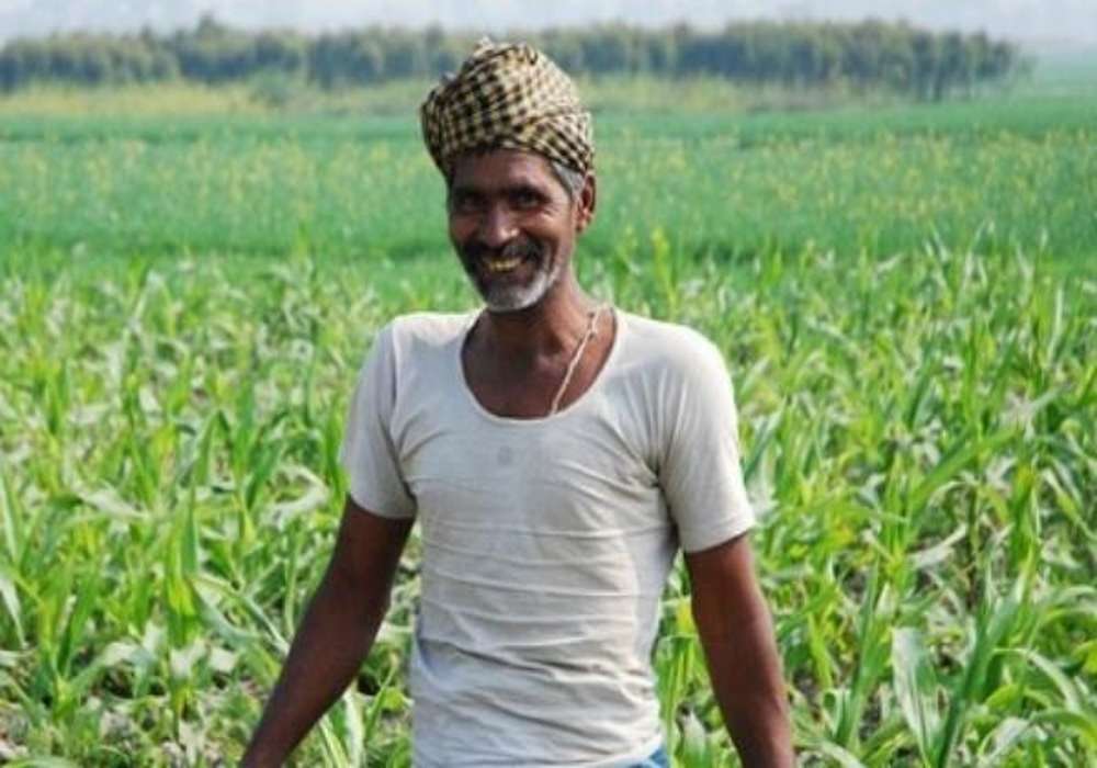 farmer