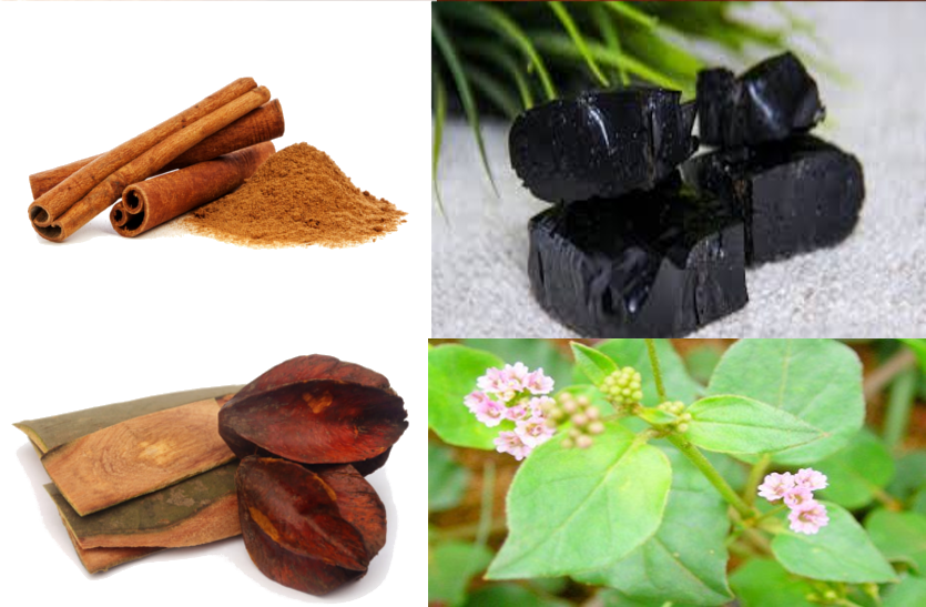 these-herbs-will-be-the-solution-of-many-diseases इन जड़ी-बूटियों से होगा कई रोगों का समाधान, जानें इनके बारे में