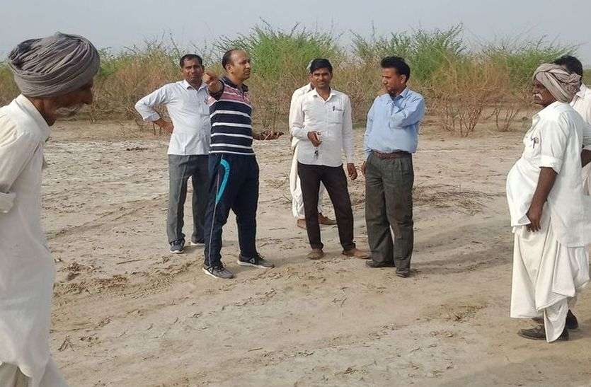 Tiddi in Nehad area नेहड़ में टिड्डी के सफाए के लिए पहुंची टीमें ऐसे कर रही काम...