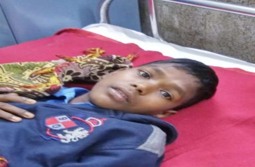 Rabies patient सीएम का आदेश भी बेअसर, घुटने भर पानी लांघने की जहमत उठा लेते अधिकारी तो मिल जाती अनाथ को चंद साँसें