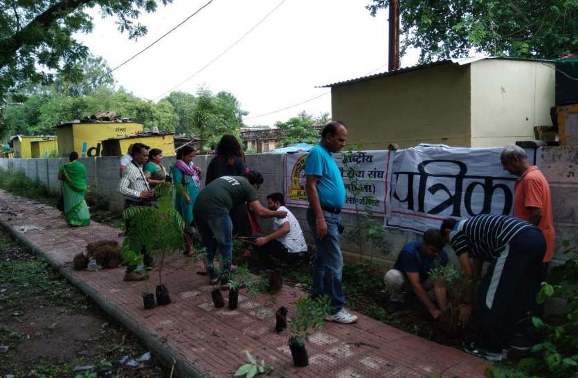 patrika पीपल और नीम के पौधे लगाकर की हरितप्रदेश अभियान की शुरूआत