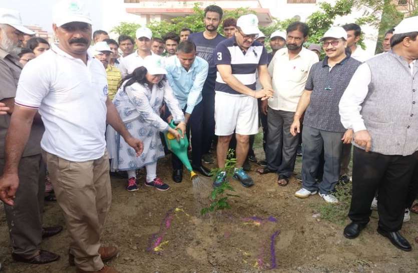 Planted plants दौड़ लगा कर लगाए पौधे