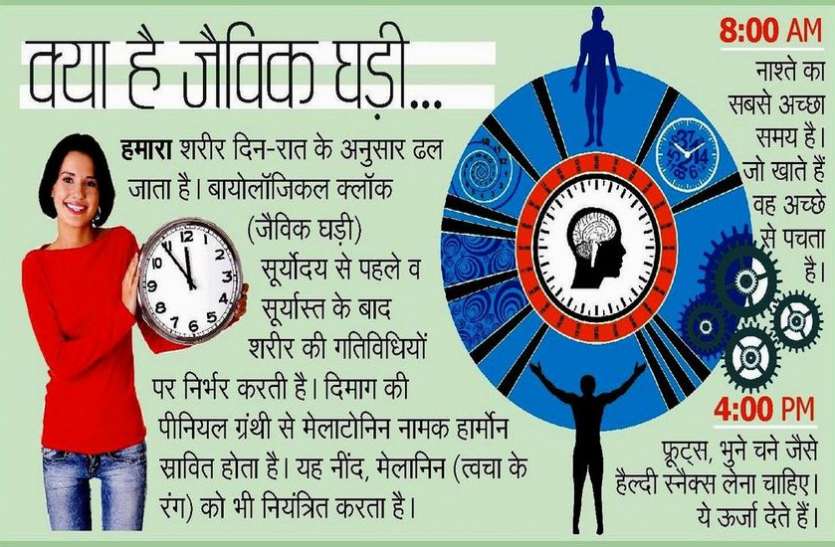biological clock क्यों बिगड़ रही हमारी बायोलॉजिकल क्लॉक