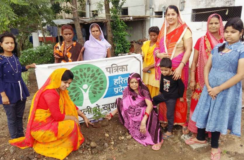 Planting, greenery, magazine green campaign, environment, life, happiness तिलकवार्डवासियों ने छायदार, फलदार लगाए पौधे