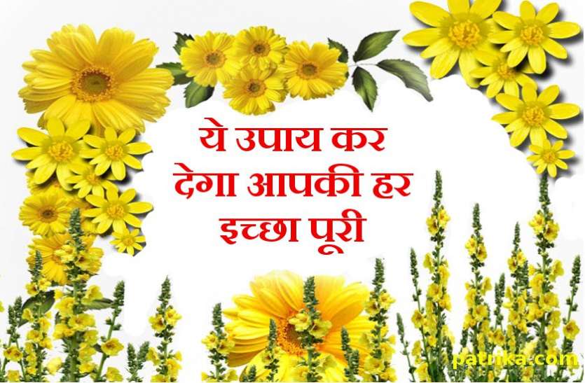 Thursday measures गुरुवार के दिन कर लें ये उपाय, दुनिया की कोई भी ताकत आपकी तरक्की नहीं रोक पायेगी