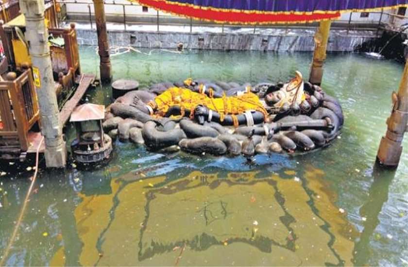devshayani ekadashi 2019