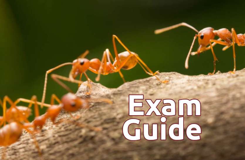 Education, interview, exam, online test, rojgar samachar, interview tips, online exam, Mock Test, general knowledge, GK, interview questions, jobs in hindi, rojgar, competition exam, mock test paper, sarkari job, questions Answers, GK mock test, Exam Guide, Exam Guide: इस टेस्ट से चेक करें अपने GK एग्जाम की तैयारी