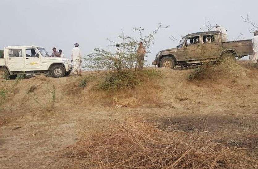 Tiddi in Nehad area अधिकारियों को नहीं दिखी, आखिर कहां गई टिड्डी, पढ़ें पूरी खबर