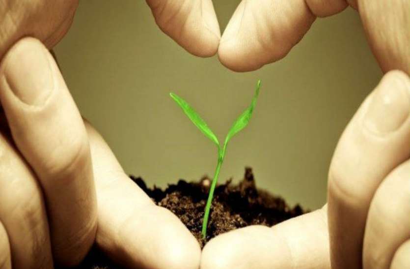 lucky plants for zodiac signs जानिए कौन सा पौधा होगा आपके लिए “लकी”, तरक्की और समृद्धि के लिए इस मानसून लगायें अपनी राशि के हिसाब से ये पौधे
