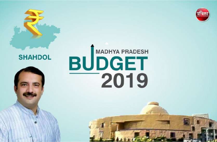 aboriginal will get benefit from budget mp budget 2019: प्रदेश सरकार का आदिवासी अंचल को सौगात, जिले के आदिवासियों को मिलेगा लाभ