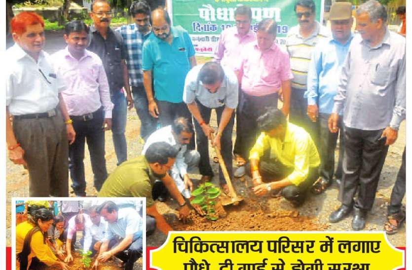 Plantation पौधों के संरक्षण के लिए बनी रणनीति