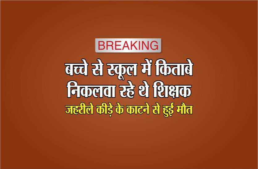 child death due to bites of poisonous worms Breaking: बच्चे से स्कूल में किताब निकलवा रहे थे शिक्षक, जहरीले कीड़े के काटने से हुई मौत