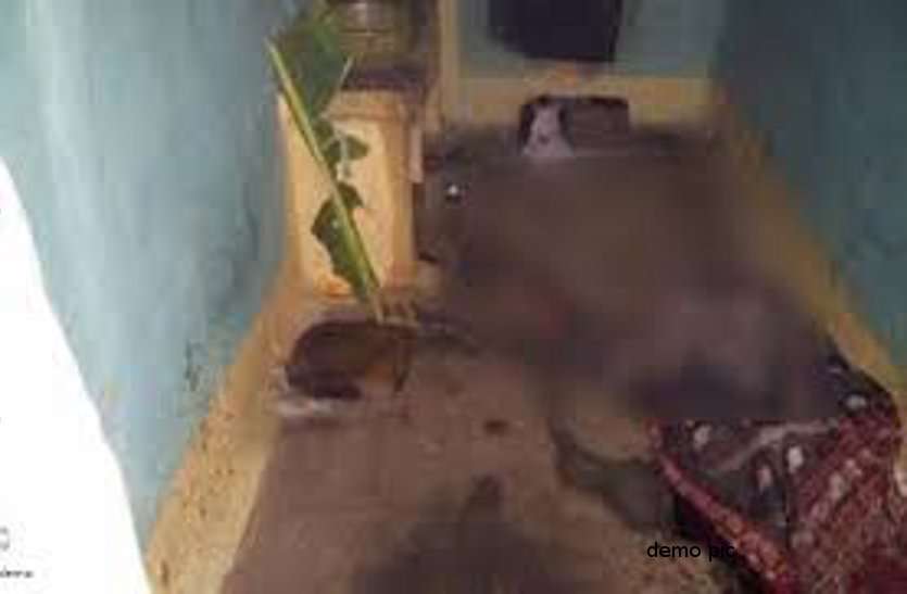 Murder in Bilaspur: Father killed daughter in Chhattisgarh ये पिता है कि राक्षस- अपनी ही फूल सी मासूम बेटी को काट डाला और भगवान के सामने दफन कर दिया