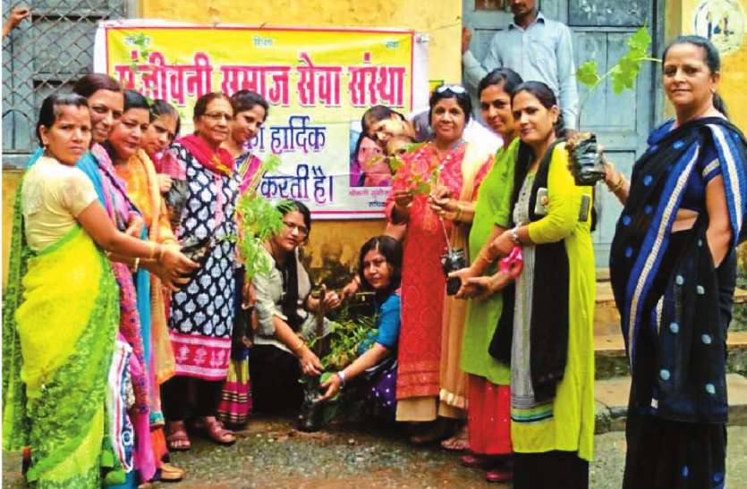 Plantion स्वस्थ रहने के लिए घर में रोपें पौधे