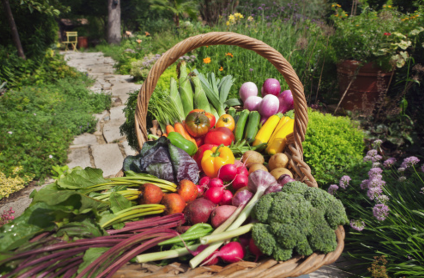 colourful fruits अलग-अलग तरीके से फायदा पहुंचाते हैं रंग बिरंगे फल व सब्जियां