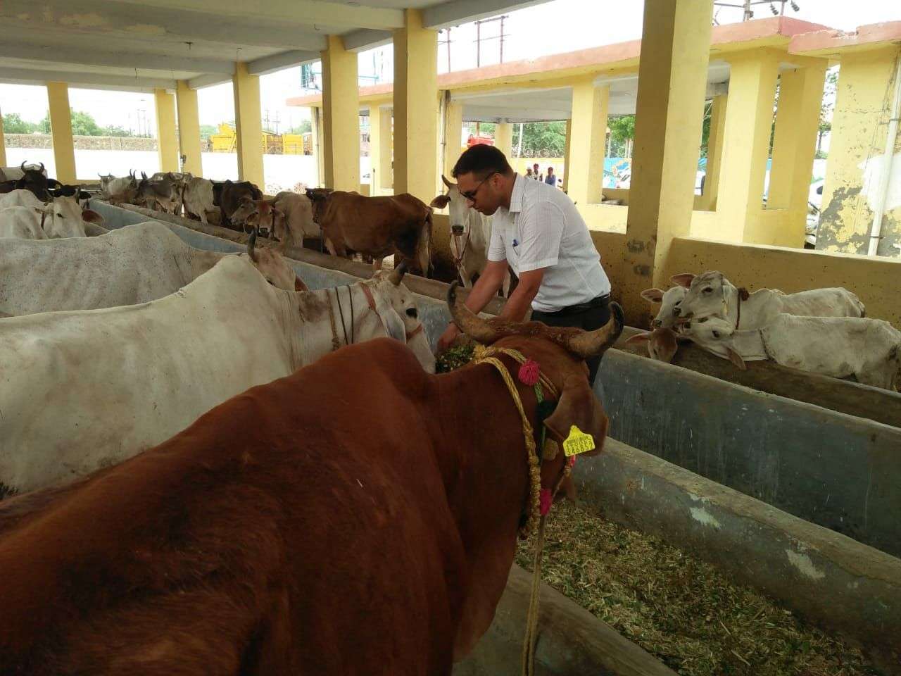 Ravindra Mander IAS