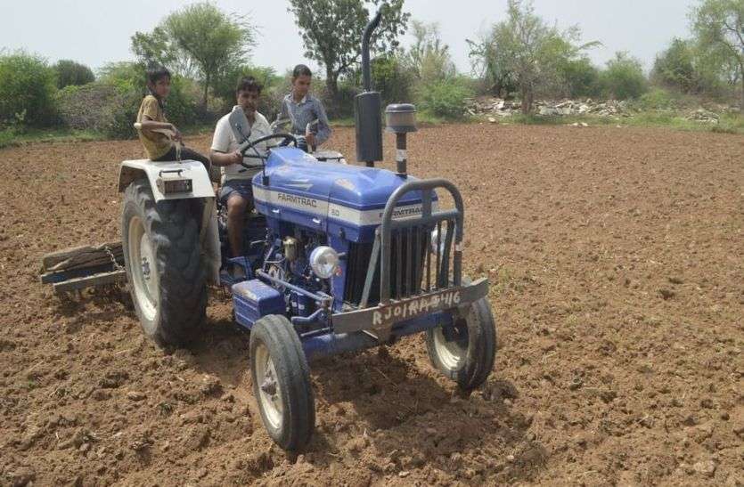 Sowing in 50 thousand hectares, good yield 50 हजार हेक्टेयर में बुवाई, अच्छी पैदावार की उमीद