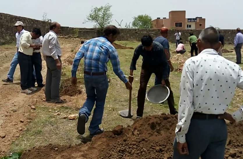 plantation in mds university ajmer Plantation: लिया विश्वविद्यालय में हरियाली फैलाने का संकल्प