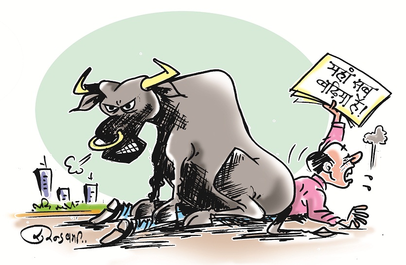 36 people die in city in six years due to vagaries of cattle OMG: मौत के आंकड़ों को निगल गई सरकार... आवारा मवेशियों से छह साल में गई 36 जाने लेकिन कहा दो ही मरे