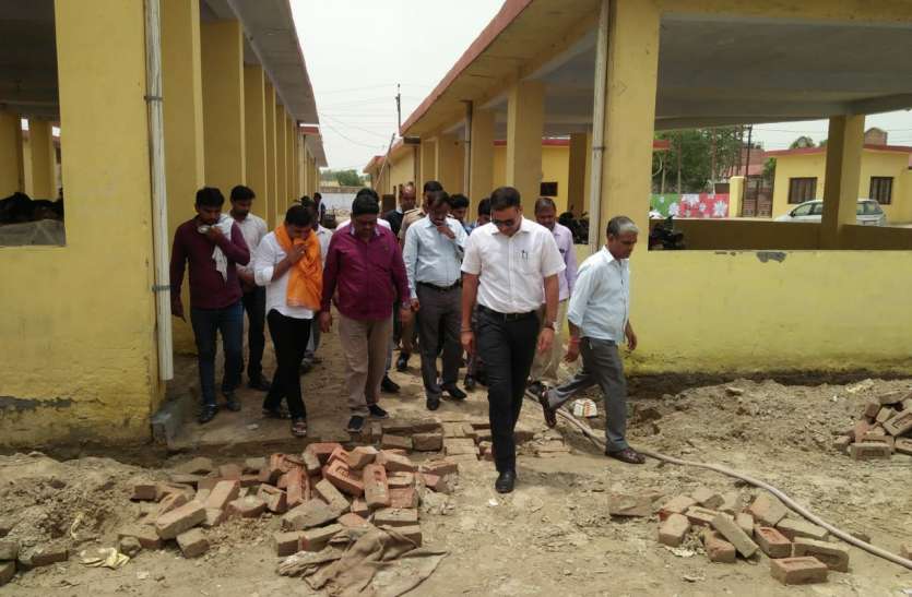 Ravindra Mander IAS अचानक गौशाला पहुंचे इस यंग IAS अधिकारी को देख मची खलबली, दौड़े-दौड़े पहुंचे नगर निगम अधिकारी