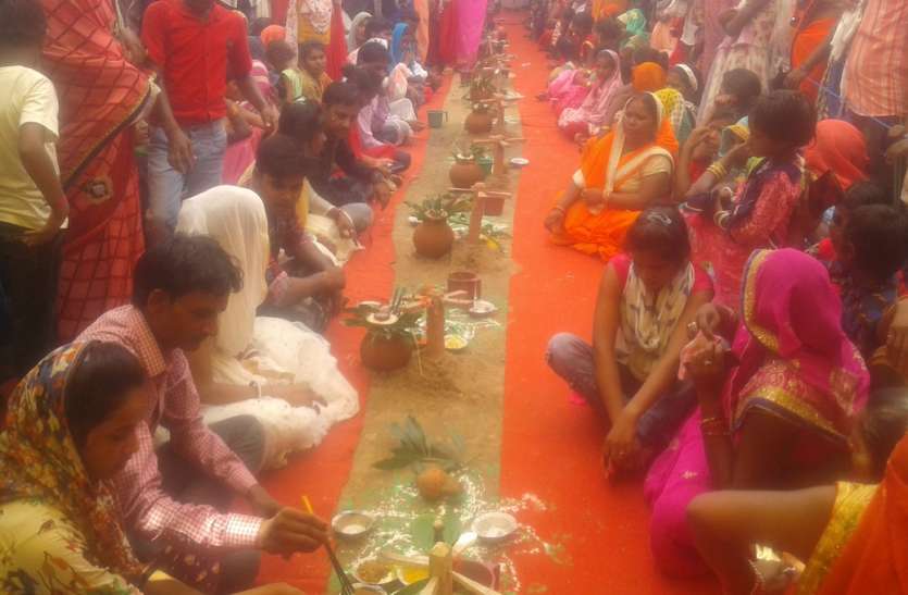 230 couples get married in CM Kanyadan scheme मुख्यमंत्री कन्यादान योजना : 230 जोड़ों ने एक साथ लिए फेरे