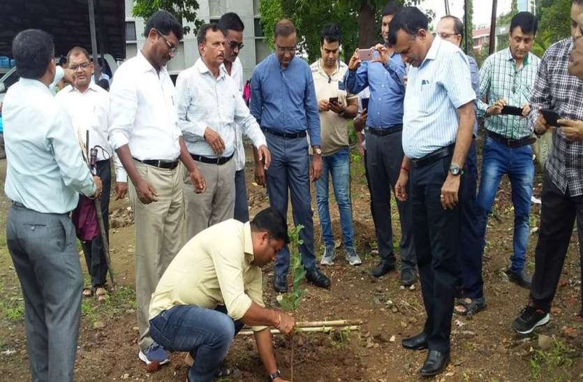 patrika SURAT NEWS: हरियाली बढ़ाने को रोपे सैकड़ों पौधे