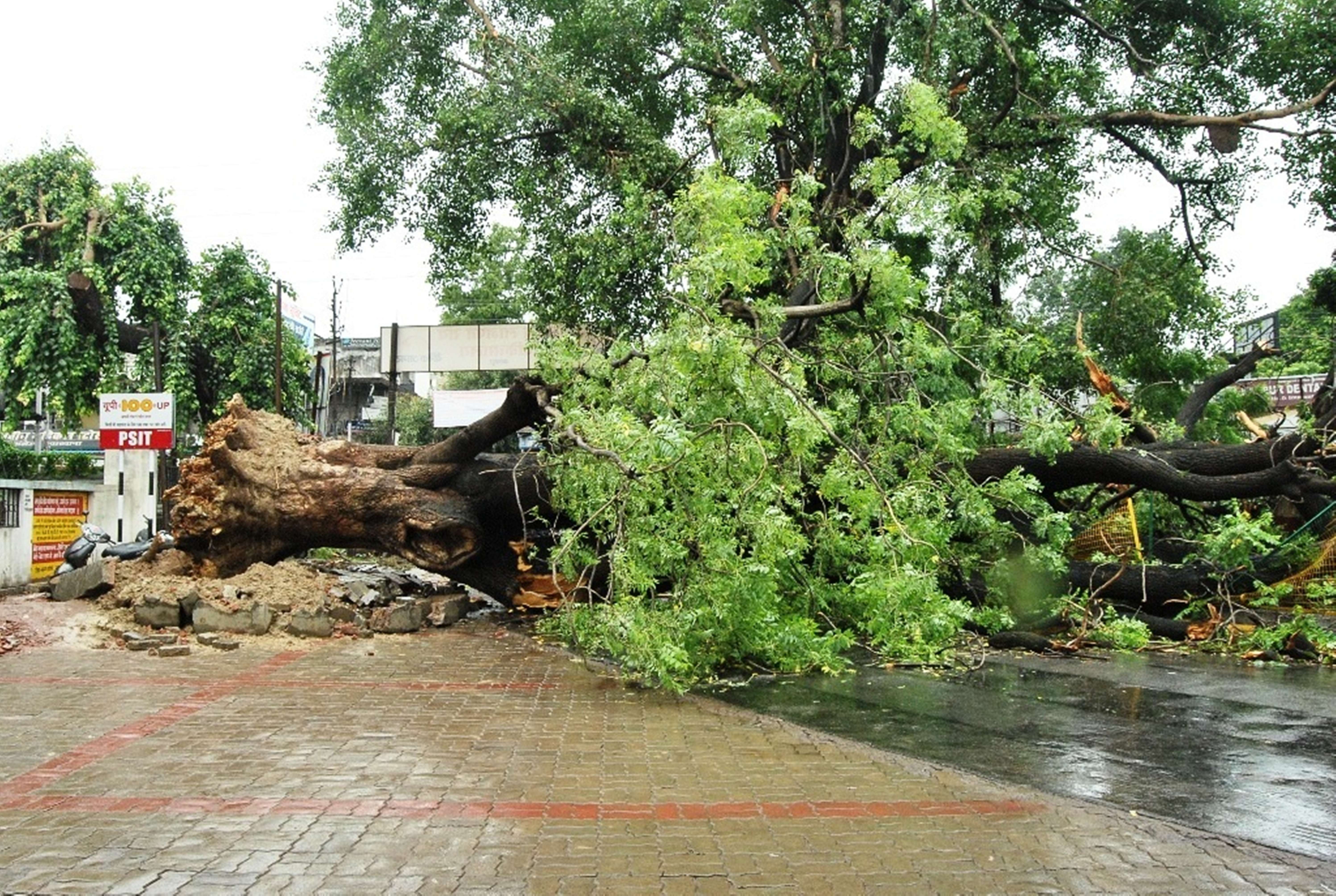 heavy rain is causing problem for people in kanpur
