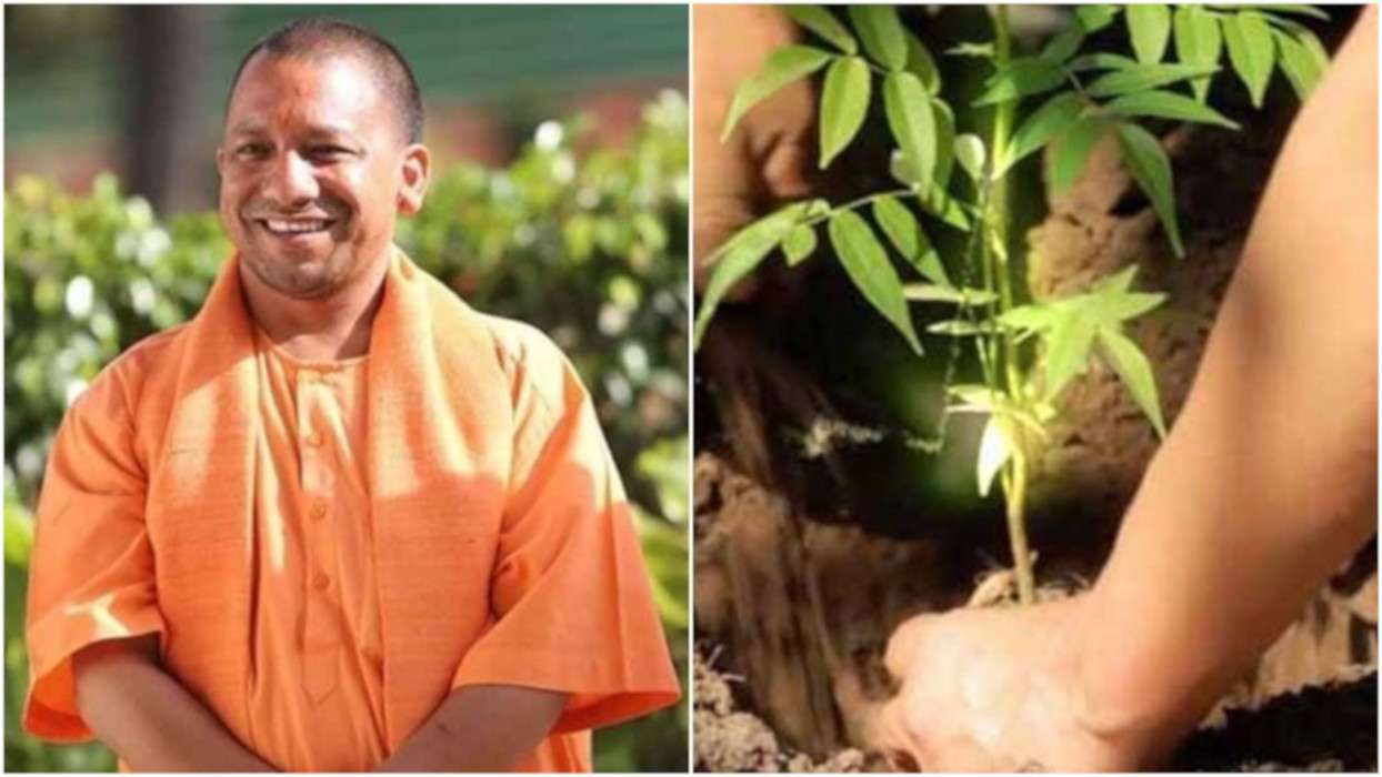 Yogi Adityanath Plantation Campaign