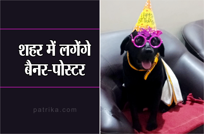 Dogs Birthday Owner Wants To Permission For Celebrate Dog Birthday ध मध म स ब ज क बर थड मन न क ल ए Sdm स म ग अन मत प र ट म क ल न क अन य क त त भ ह ग