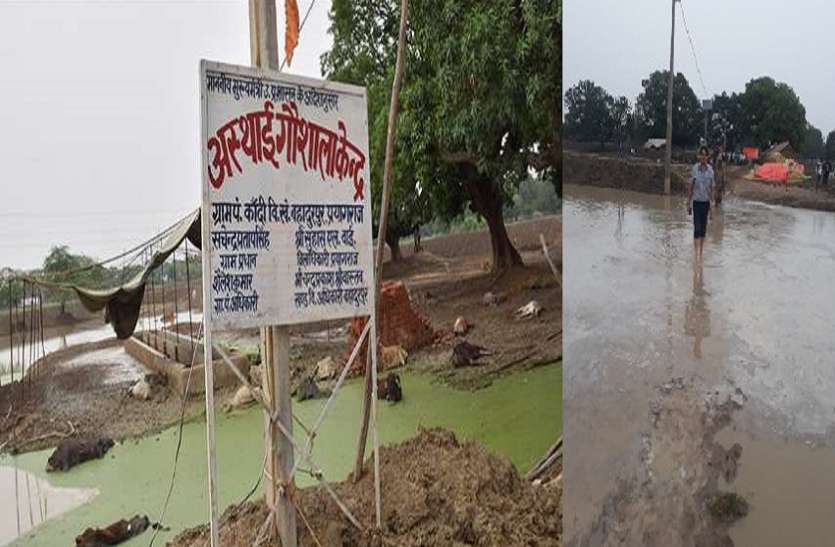 allahabad गौशाला में पैतीस गायों की दर्दनाक मौत ,जिम्मेदार अधिकारी बता रहे प्राकृतिक आपदा