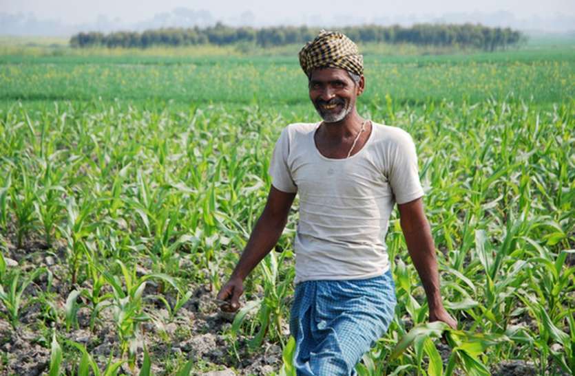 Andhra Pradesh Budget 2019 Highlights