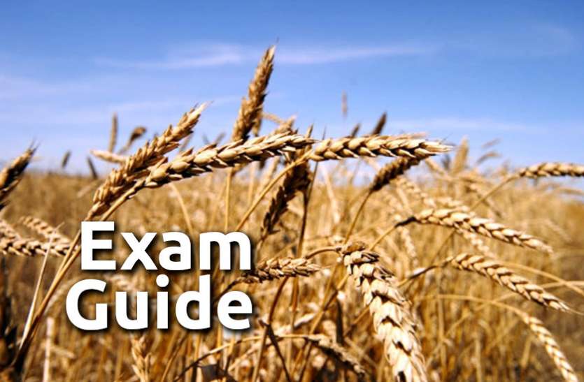 Education, interview, exam, online test, rojgar samachar, interview tips, online exam, Mock Test, general knowledge, GK, interview questions, jobs in hindi, rojgar, competition exam, mock test paper, sarkari job, questions Answers, GK mock test, Exam Guide, Exam Guide: इस ऑनलाइन टेस्ट से चेक करें अपने Competition एग्जाम की तैयारी