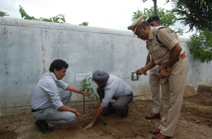 आपदा प्रबंधन की तैयारियों का लिया जायजा होमगार्ड कार्यालय में किया गया पौधरोपण, सैनिकों ने लगाए १०० पौधे