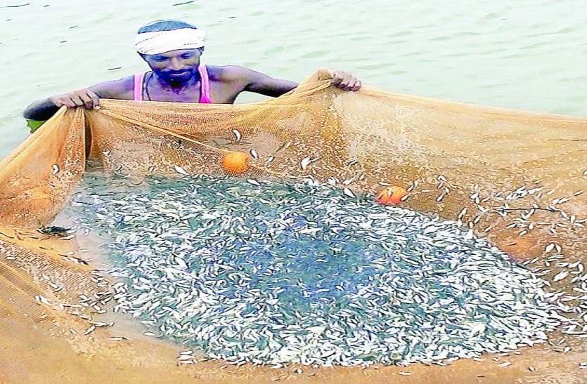 news,Chennai,navy,arrested,fishermen,Tamilnadu,Special,srilanka,Breaking,Chennai news in hindi,Hindi News Paper, chennai news in hindi: श्रीलंकाई नौसेना ने ६ मछुआरों को किया गिरफ्तार