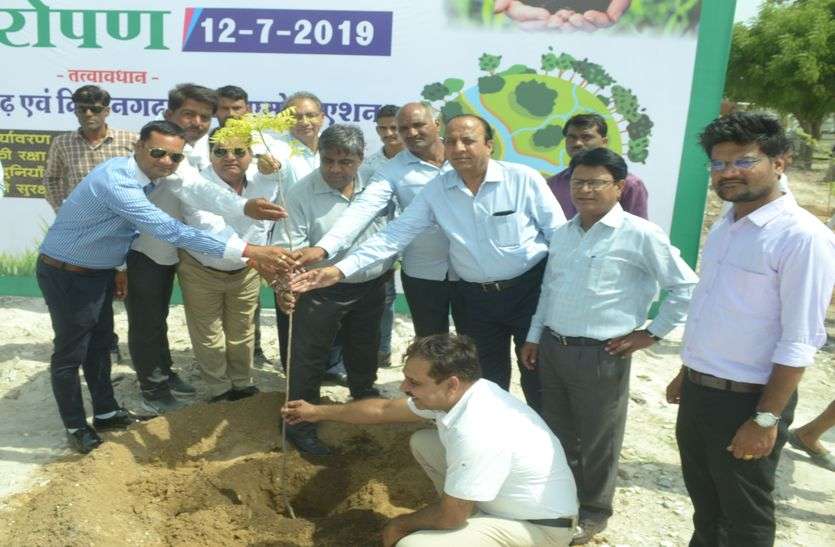 Rico area covered with greenery हरियाली से आच्छादित होगा रीको एरिया