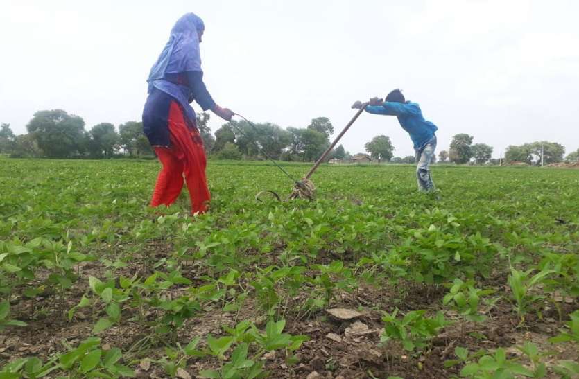 pratapgarh अब तक वार्षिक औसत से आधी बारिश, गत एक सप्ताह से थमा बारिश का दौर