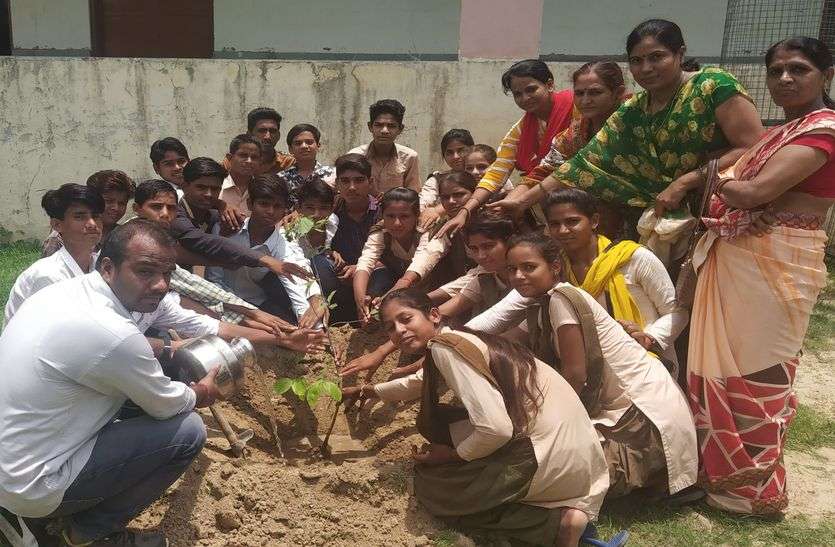 पौधे रोपकर दिलाई संरक्षण की शपथ पौधे रोपकर दिलाई संरक्षण की शपथ